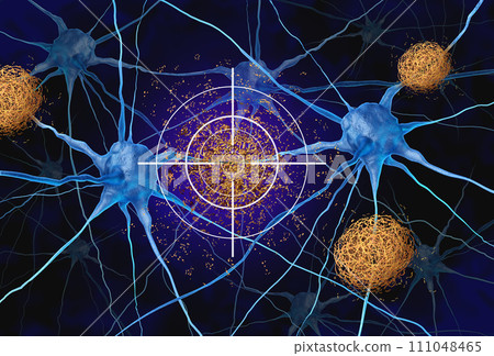 Targeting Amyloid Plaque Targeting Amyloid Plaque 111048465