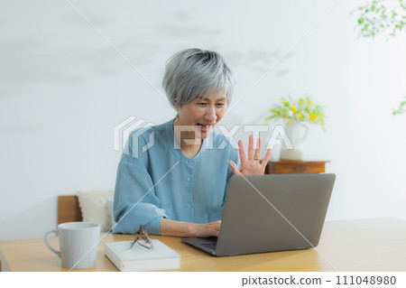 Senior woman using a laptop Senior woman using a laptop 111048980