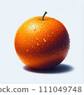 Tangerine orange illustration 111049748