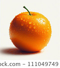 Tangerine orange illustration 111049749