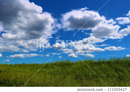 Walking along the idyllic spring Watarase embankment 111050427