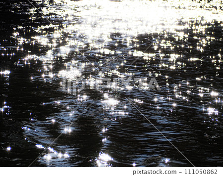 Shining lake surface at Suginami Wadabori Park 111050862
