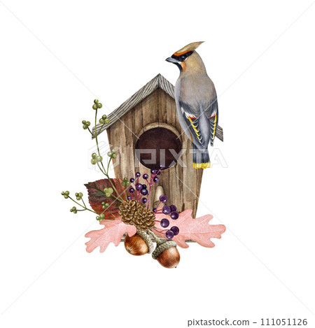 Vintage style autumn season cozy decor with a bird. Watercolor illustration. Hand drawn vintage style birdhouse, floral decor and waxwing. Autumn flower natural decor with bird. White background 111051126