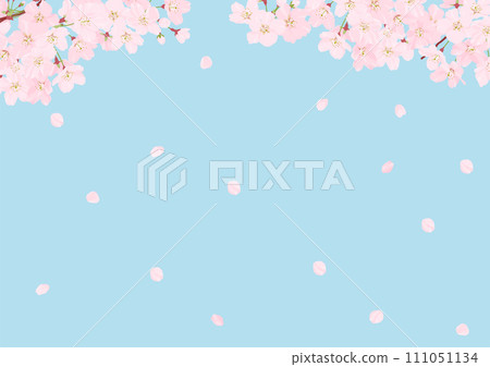 櫻花背景素材天空 111051134