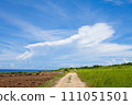 Blue sky and road of Ishigaki Island 111051501