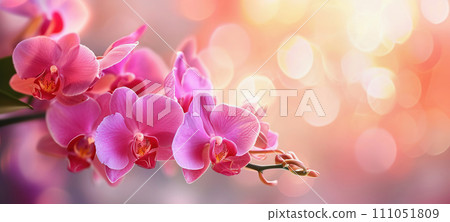 AI-generated content. Orchids on soft, dreamy background copy space. Spring or summer banner 111051809