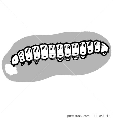 Caterpillar butterfly larva/line drawing 111051912
