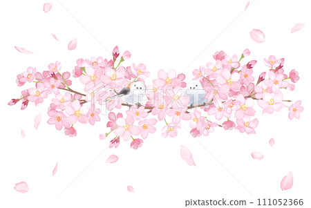 Decorative frame of cherry blossoms and two long-tailed tits. Watercolor illustration. 111052366
