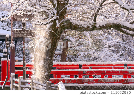 240108中橋g050 111052980