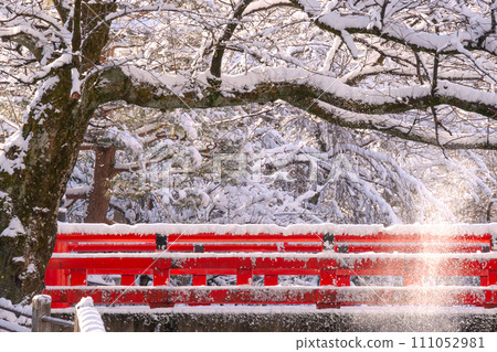 240108 Nakahashi g045 111052981