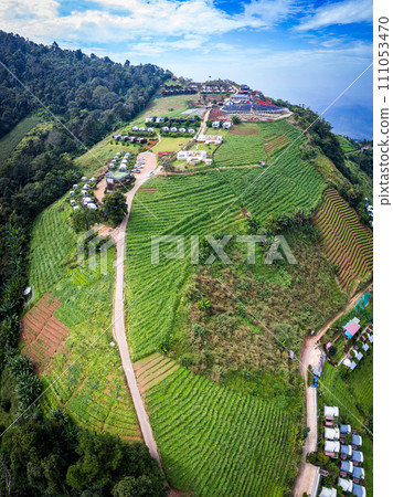 Ying Yong flower garden in Mae Rim, Chiang Mai 111053470