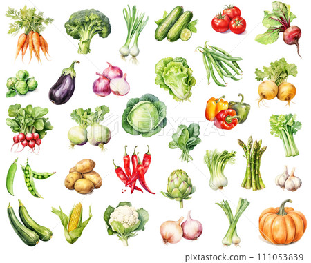 Watercolor big set of vegetables isolated on white background. 111053839