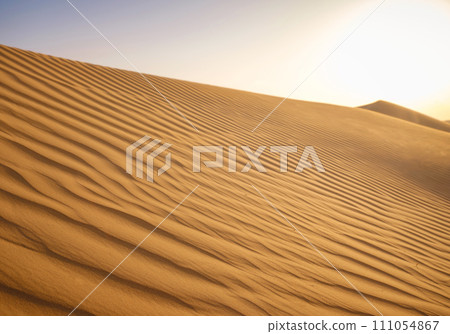 Landscape with Sand Dune, Liwa Oasis, Abu Dhabi, UAE 111054867