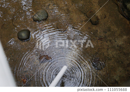 Takitani Fudoson, substitute loach in Tondabayashi City, Osaka Prefecture Takitani Fudoson, substitute loach in Tondabayashi City, Osaka Prefecture 111055688