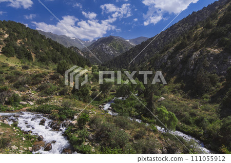 field with mountain rivers in Tien Shan mountains in Kazakhstan in summer. Kaskasu Gorge field with mountain rivers in Tien Shan mountains in Kazakhstan in summer. Kaskasu Gorge 111055912
