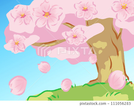 Cherry tree  111056283