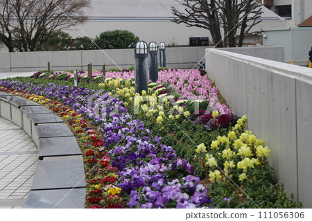 我繞著普通運動場走了一圈。 我繞著普通運動場走了一圈。 111056306