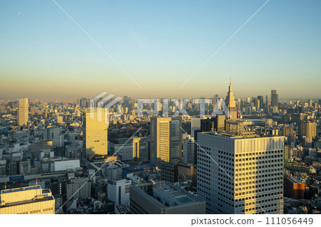 The panorama of Tokyo, Japan 111056449
