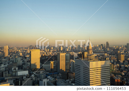 The panorama of Tokyo, Japan 111056453