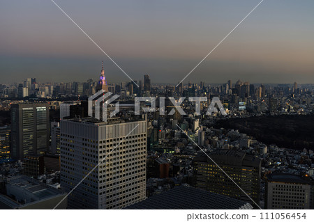 The panorama of Tokyo, Japan The panorama of Tokyo, Japan 111056454