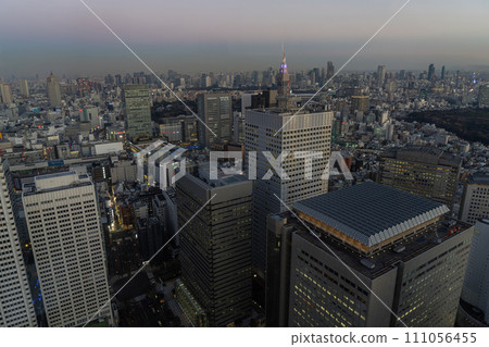 The panorama of Tokyo, Japan 111056455