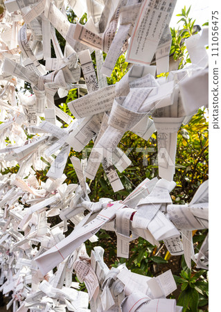 the Omikuji sheets that predict one's future outside a temple in Tokyo, Japan 111056475