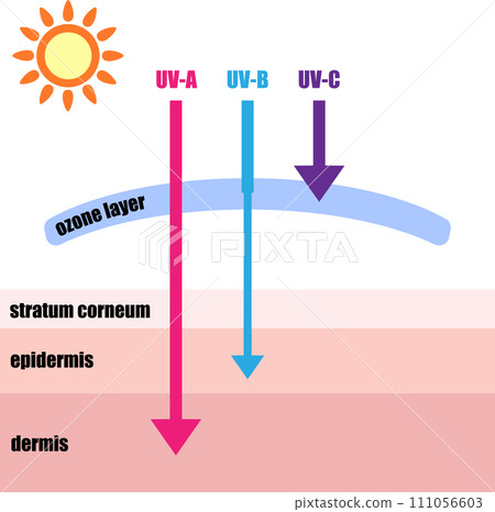 Image illustration of ultraviolet rays reaching the skin 111056603