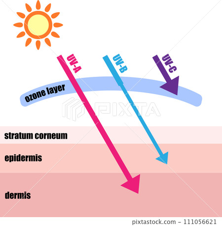 Image illustration of ultraviolet rays reaching the skin 111056621