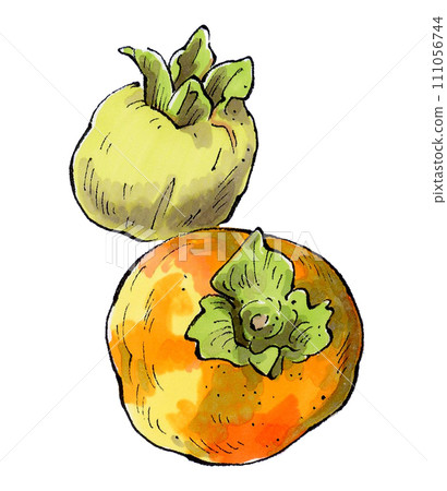 手繪插畫 手繪插畫 111056744