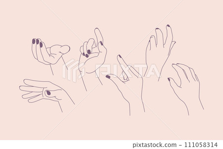 一雙不平等的女性手。線條和風格的集合。 一雙不平等的女性手。線條和風格的集合。 111058314