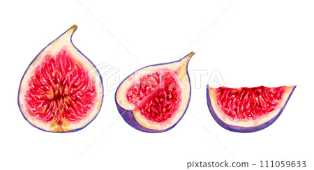 Fig fruit slices.Illustration with watercolor and markers.Hand drawn clipart on isolated background.Vegetable botanical picture for food packaging design.Tropical plant sketch for kitchen designs. Fig fruit slices.Illustration with watercolor and markers.Hand drawn clipart on isolated background.Vegetable botanical picture for food packaging design.Tropical plant sketch for kitchen designs. 111059633