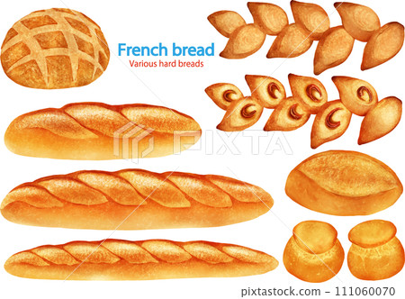 向量法國麵包各種硬麵包 111060070