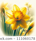 yellowish daffodil 111060178