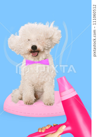 Contemporary art collage. Small white dog with a pink bow tie sits regally on a plush pink pillow and groomer dries his fur. Pet grooming. 111060512