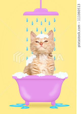 Modern aesthetic artwork. Fluffy white-orange kitten playfully batting at cluster of iridescent soap bubbles that cling to its head like crown. Pet grooming. Modern aesthetic artwork. Fluffy white-orange kitten playfully batting at cluster of iridescent soap bubbles that cling to its head like crown. Pet grooming. 111060513