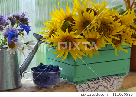 Beautiful still life with sunflowers and blue berry in the garden. Romantic greeting card for birthday, Valentines, Mothers Day concept. Summer countryside background with vintage objects Beautiful still life with sunflowers and blue berry in the garden. Romantic greeting card for birthday, Valentines, Mothers Day concept. Summer countryside background with vintage objects 111060586