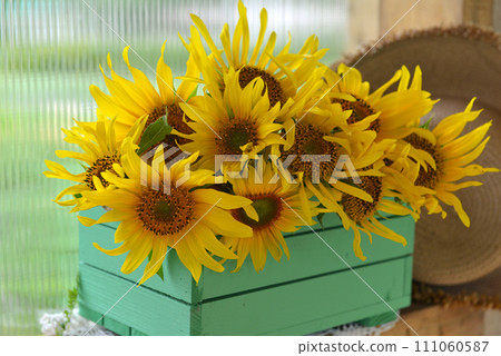 Beautiful still life with sunflowers in the garden. Romantic greeting card for birthday, Valentines, Mothers Day concept. Summer countryside background with vintage objects Beautiful still life with sunflowers in the garden. Romantic greeting card for birthday, Valentines, Mothers Day concept. Summer countryside background with vintage objects 111060587