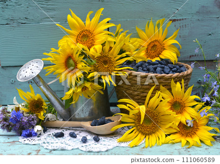 Beautiful still life with sunflowers and blue berry in the garden. Romantic greeting card for birthday, Valentines, Mothers Day concept. Summer countryside background with vintage objects 111060589