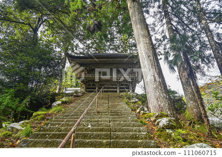 通往宗山妙通寺三門的石階 通往宗山妙通寺三門的石階 111060715