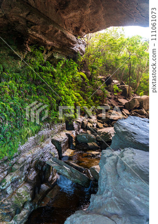 Lush Green Forest Stream Flowing Through Rocky Terrain Lush Green Forest Stream Flowing Through Rocky Terrain 111061073