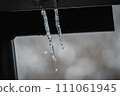 Icicle 111061945