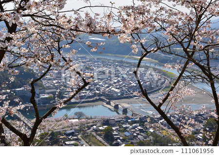 春天岩國市景觀 春天岩國市景觀 111061956