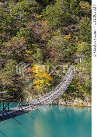 日本靜岡縣川根本町,須俁峽的夢幻吊橋和秋葉淡淡的樹木 日本靜岡縣川根本町,須俁峽的夢幻吊橋和秋葉淡淡的樹木 111062327
