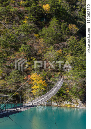 日本靜岡縣川根本町,須俁峽的夢幻吊橋和秋葉淡淡的樹木 日本靜岡縣川根本町,須俁峽的夢幻吊橋和秋葉淡淡的樹木 111062330