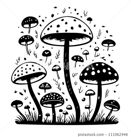 doodle mushroom illustration sketch draw black doodle mushroom illustration sketch draw black 111062946