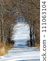 一條白雪覆蓋的冬季鄉村道路穿過樹木隧道。 111063104