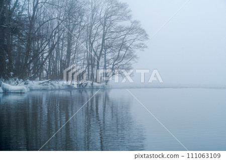 Trees by the lake in the morning mist. Lake Kussharo in Hokkaido. 111063109