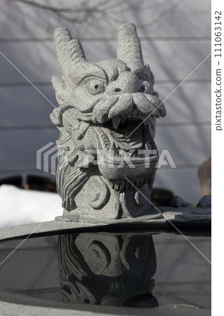dragon illuminated by sunlight dragon illuminated by sunlight 111063142