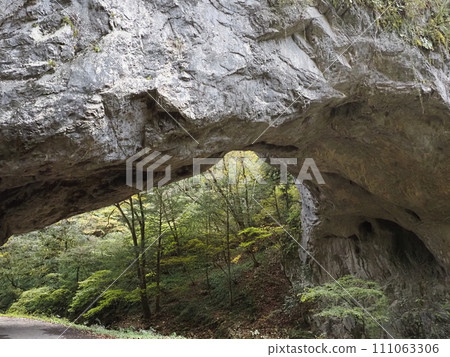 Male bridge 111063306