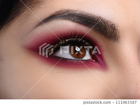 Close-up beautiful female eye decorated with makeup Close-up beautiful female eye decorated with makeup 111063387